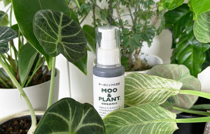 観葉植物と100ml